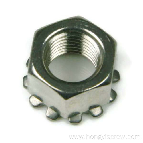 Stainless Steel External Tooth Washer Keps K-Lock Nut